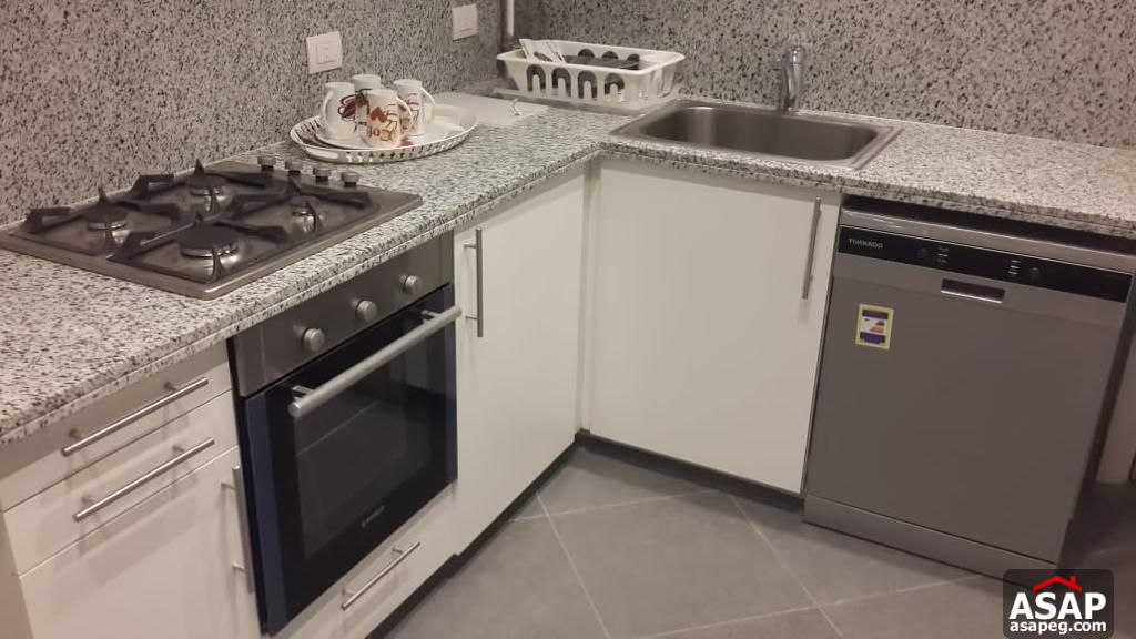 Furnished Flat for Rent in Zamalek Furnished Flat for Rent in Zamalek