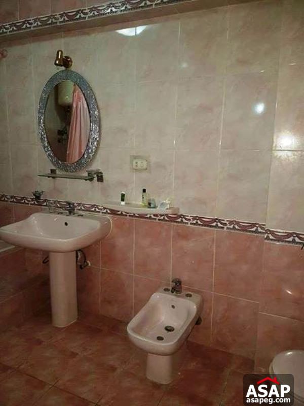 Apartment with Nile View for Sale in Zamalek Apartment with Nile View for Sale in Zamalek