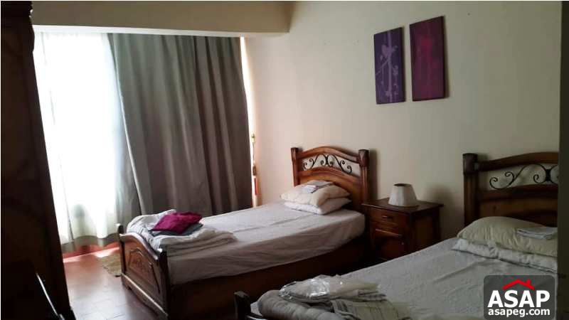 Furnished Flat for Rent in Zamalek Furnished Flat for Rent in Zamalek