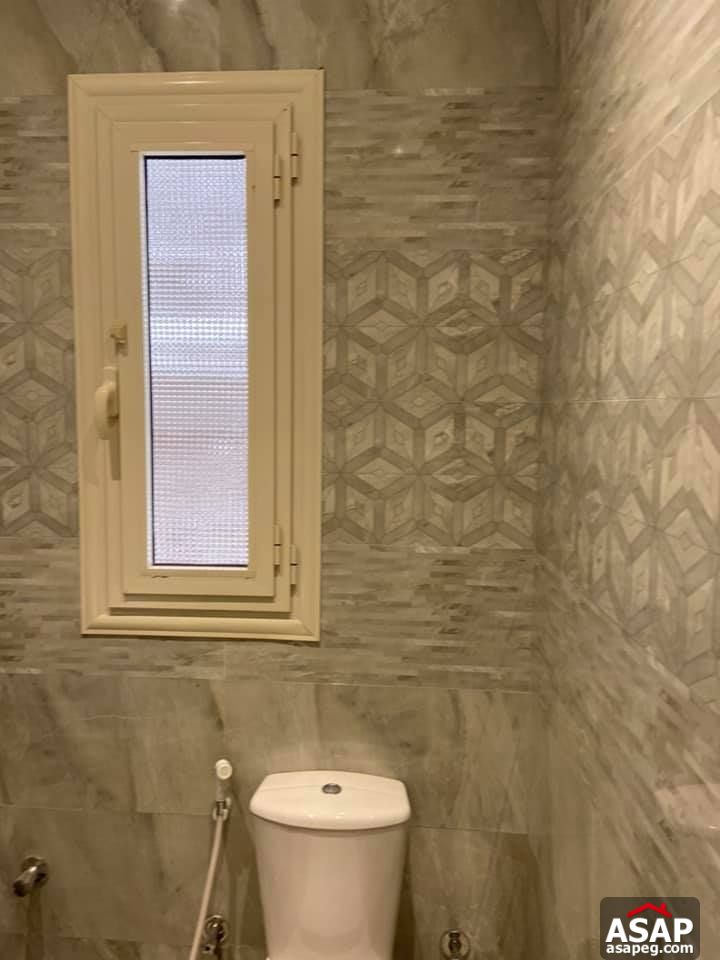 Apartment for Rent in Zamalek Apartment for Rent in Zamalek