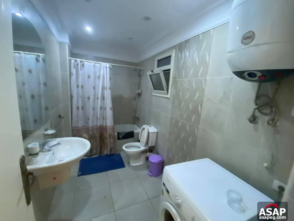 Apartment for Rent in Zamalek Apartment for Rent in Zamalek