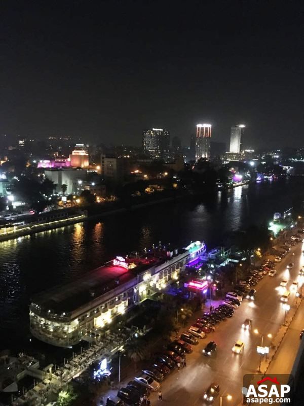 Furnished Apartment with Nile View in Dokki