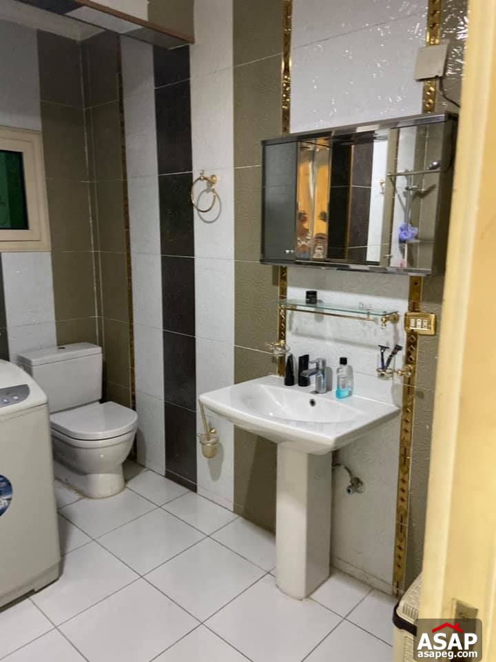 Flat with Nile View for Rent in Zamalek Flat with Nile View for Rent in Zamalek