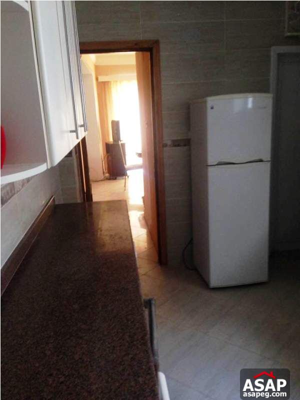 Apartment with Nile View for Rent in Zamalek Apartment with Nile View for Rent in Zamalek