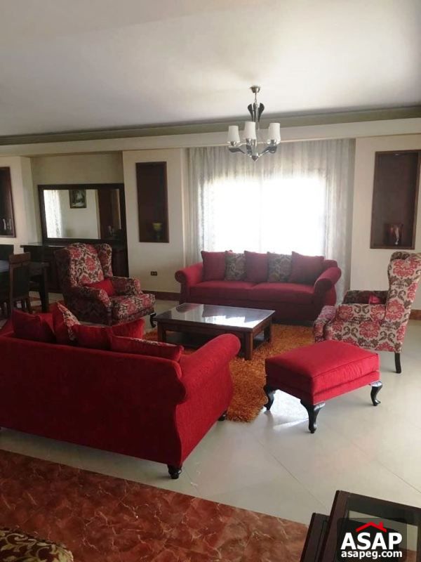 Furnished Apartment with Nile View in Dokki