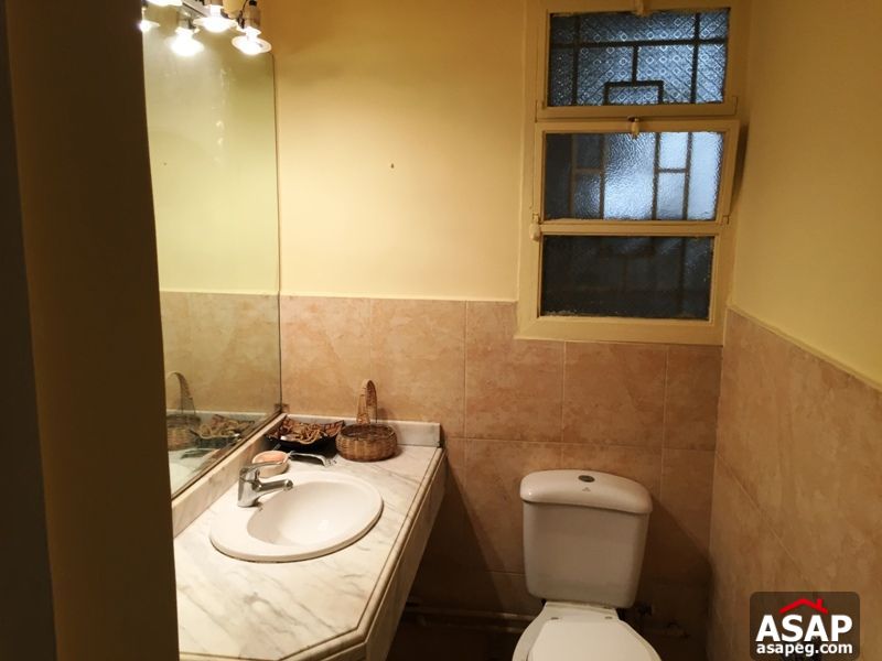 Apartment for Rent in Zamalek Apartment for Rent in Zamalek