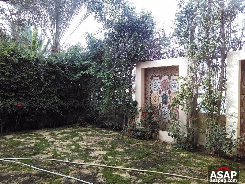 Town House for Rent in Sheikh Zayed Town House for Rent in Sheikh Zayed