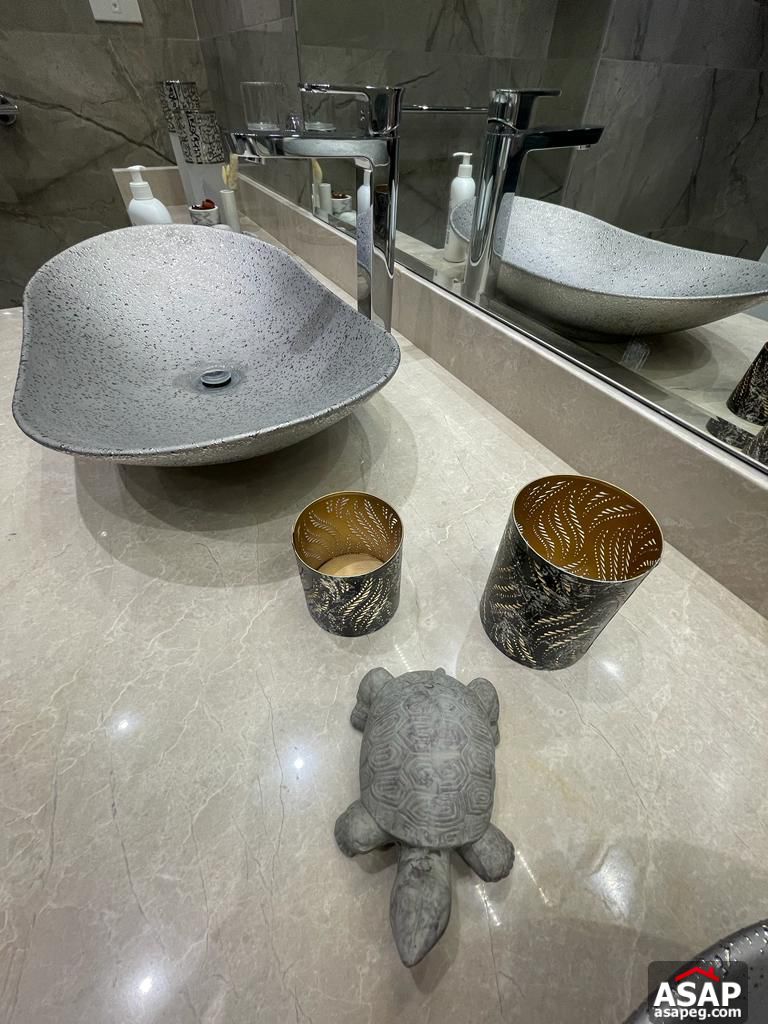 Furnished Apartment for Rent in Villette Sodic