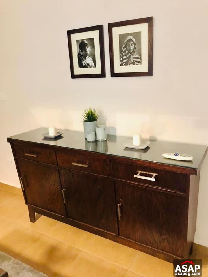 Apartment for Rent in Zamalek Apartment for Rent in Zamalek