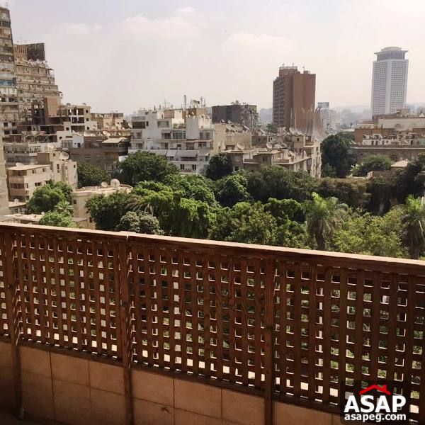 Apartment with Big Terrace for Rent in Zamalek Apartment with Big Terrace for Rent in Zamalek