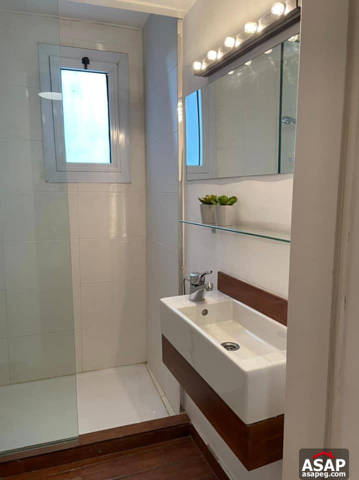 Amazing Apartment for Rent in Zamalek Amazing Apartment for Rent in Zamalek