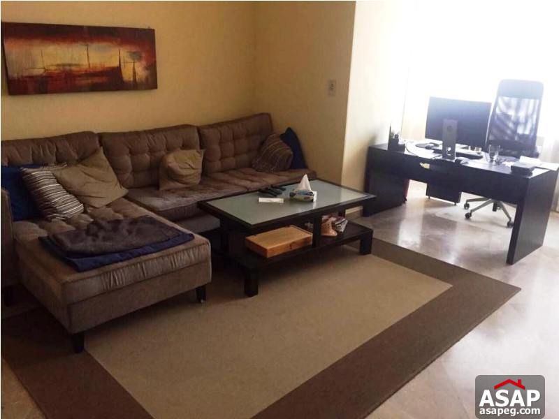 Nice Apartment in Zamalek for Rent Nice Apartment in Zamalek for Rent