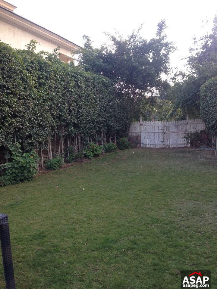 Twin House for Rent in Mountain View Twin House for Rent in Mountain View