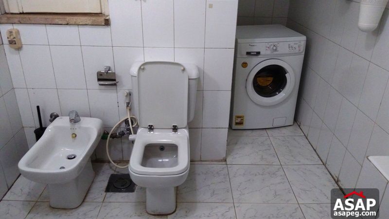 Furnished Apartment with Terrace in Zamalek for Rent Furnished Apartment with Terrace in Zamalek for Rent