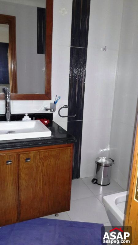 Furnished Apartment for Sale in Maadi Degla Furnished Apartment for Sale in Maadi Degla