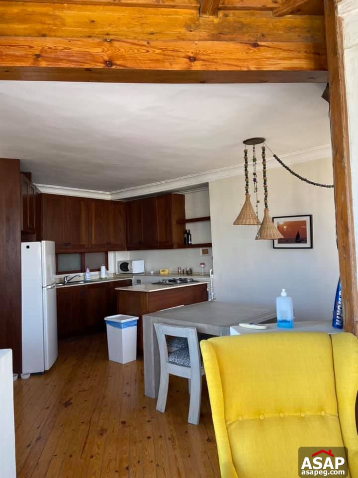 Apartment for Rent in Zamalek Apartment for Rent in Zamalek