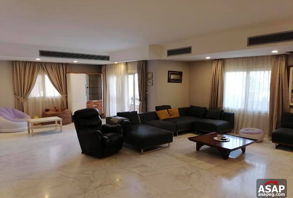 Apartments for Rent in New Cairo Apartments for Rent in New Cairo