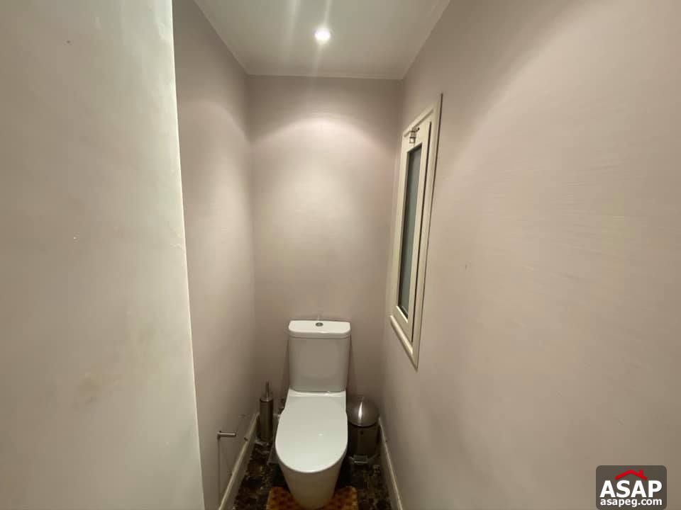 Furnished Flat with Nile View in Zamalek