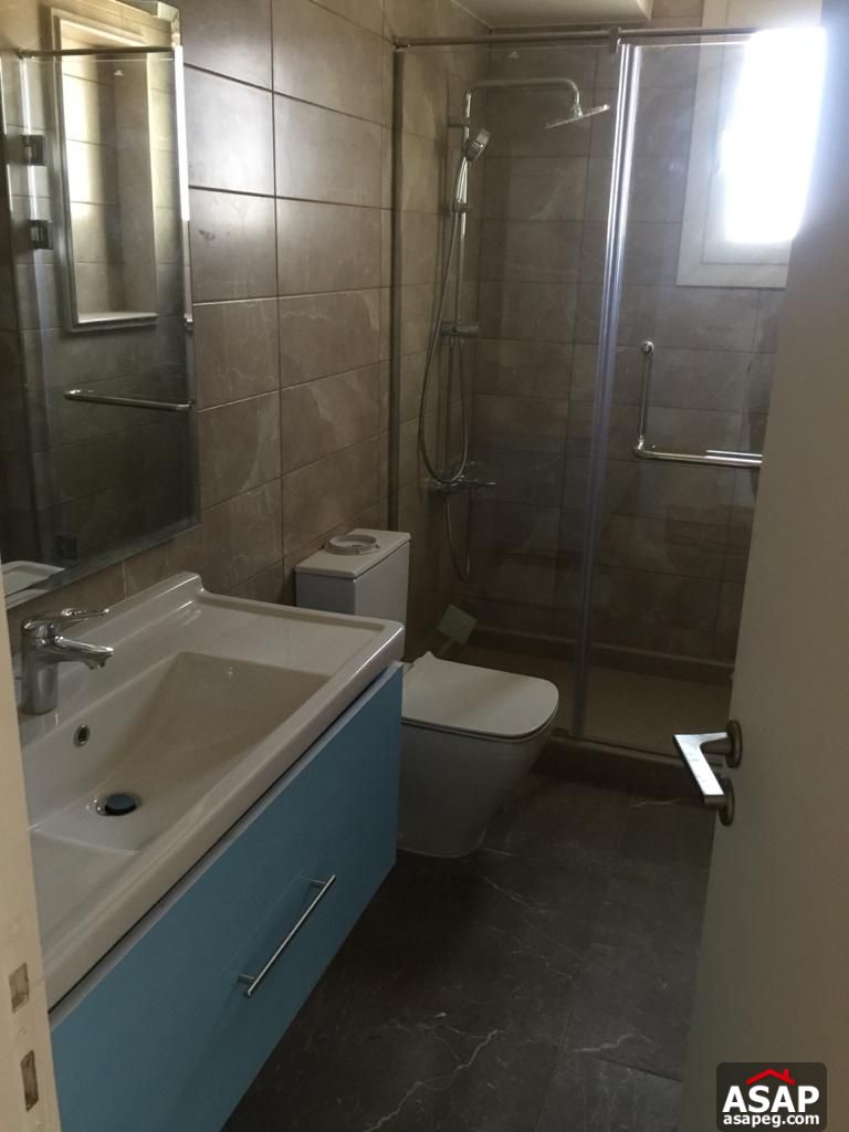 Apartment for Rent in Zamalek Apartment for Rent in Zamalek