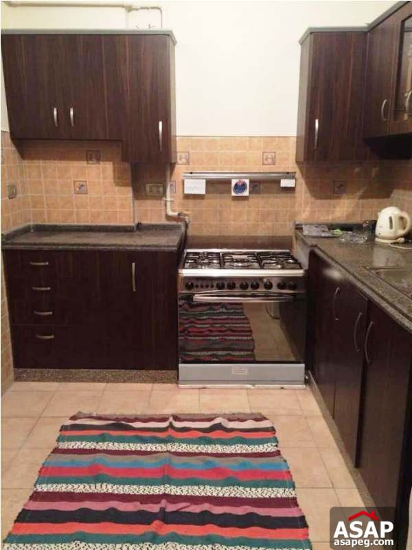 Apartment with Nile View for Rent in Zamalek Apartment with Nile View for Rent in Zamalek