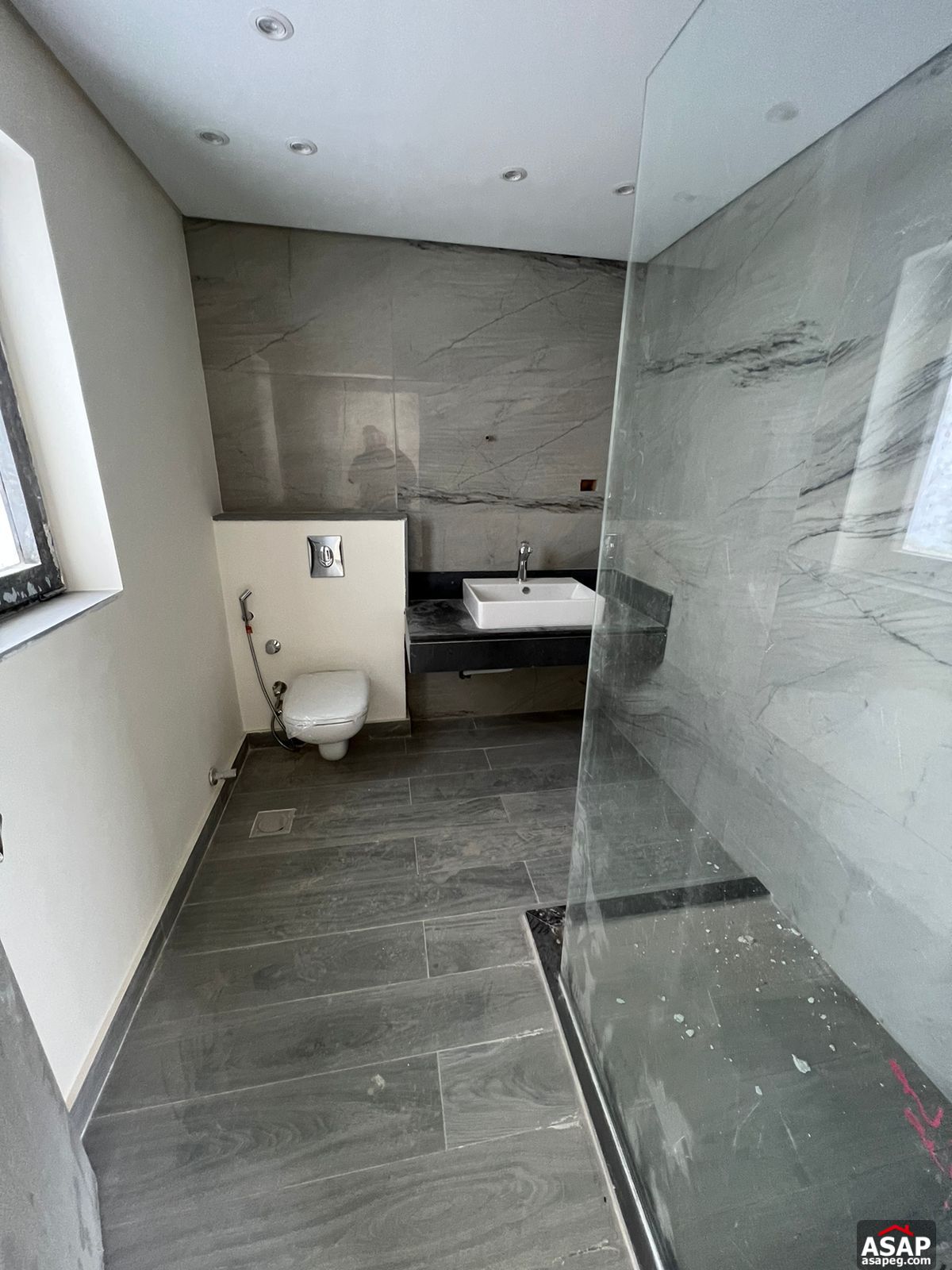 Penthouse for Rent in Lake View Residence Penthouse for Rent in Lake View Residence