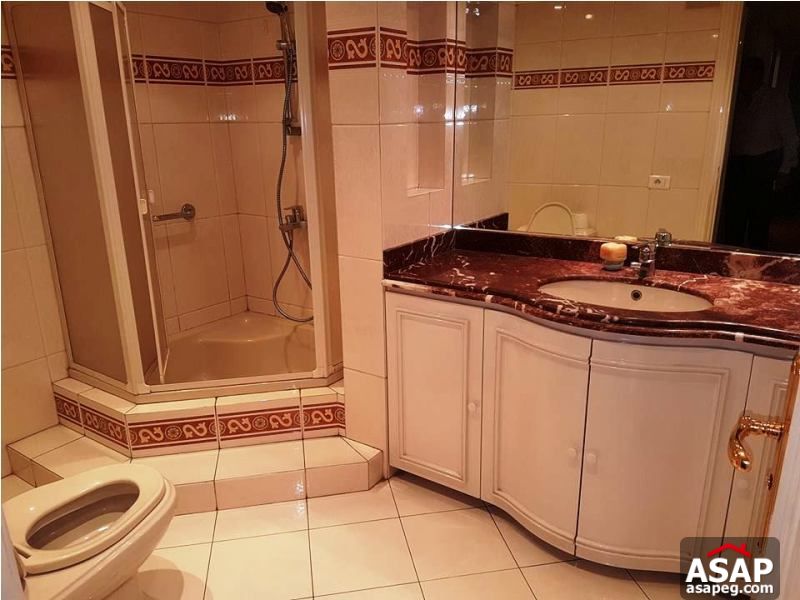 Duplex with Big Terrace for Rent in Zamalek Duplex with Big Terrace for Rent in Zamalek