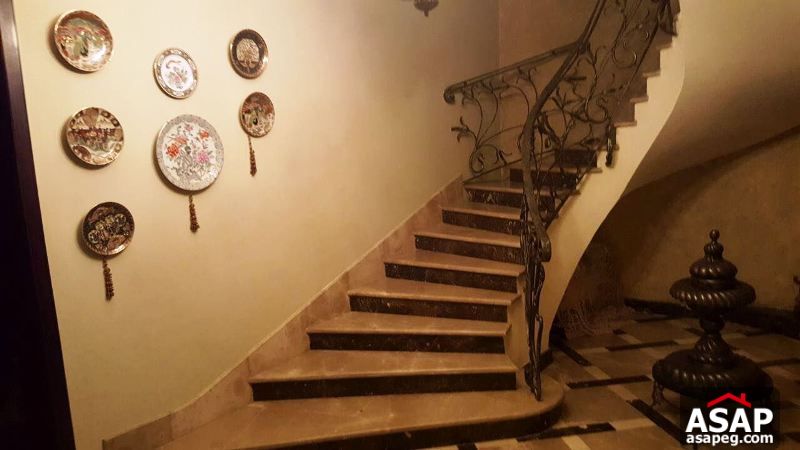 Furnished Villa with Big Garden for Rent in New Cairo Furnished Villa with Big Garden for Rent in New Cairo