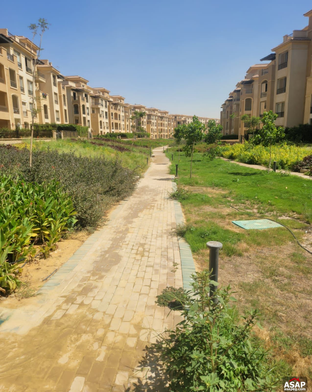 Apartment for Sale in Stone Residence Apartment for Sale in Stone Residence