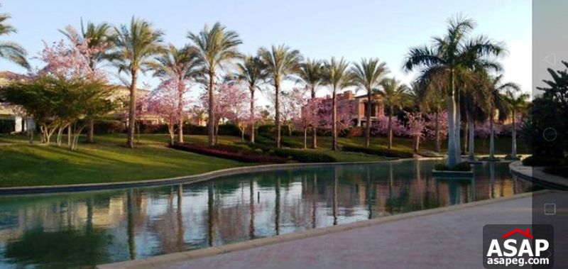 Villa with Pool for Rent in Paradise Compound Villa with Pool for Rent in Paradise Compound