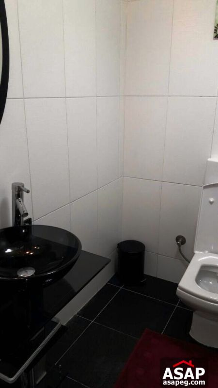 Furnished Apartment for Sale in Maadi Degla Furnished Apartment for Sale in Maadi Degla