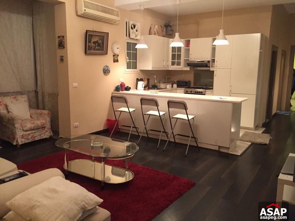 Apartment for rent in zamalek Apartment for rent in zamalek