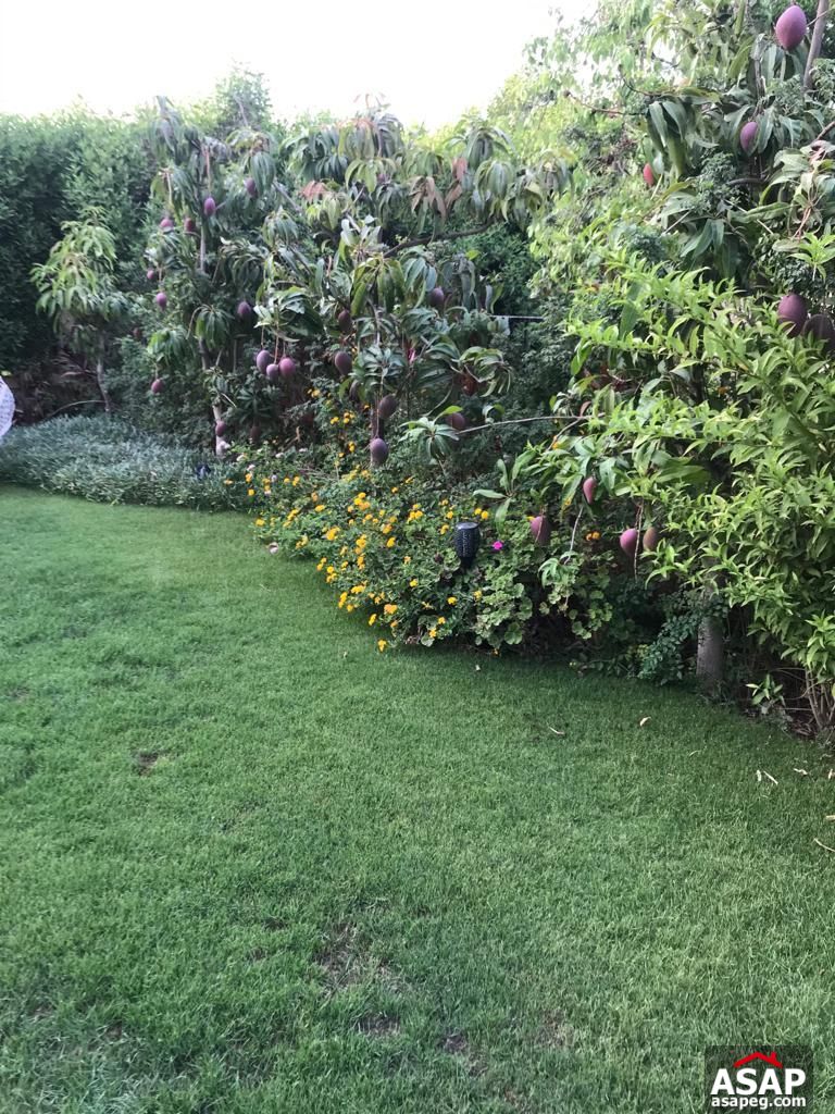 Stand Alone for Rent in Mivida Emaar