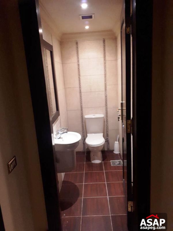 Apartment for Rent in Katameya Heights Apartment for Rent in Katameya Heights