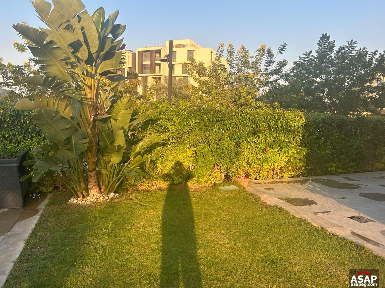 Duplex with Garden for Rent in Eastown Sodic Duplex with Garden for Rent in Eastown Sodic