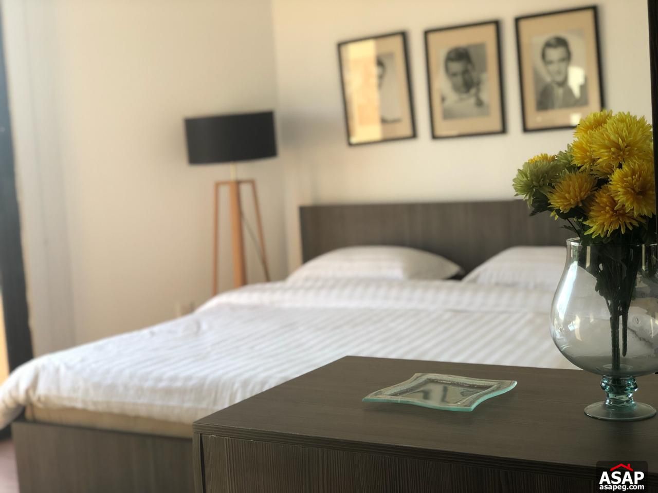 Nice Studio for Rent in Katameya Dunes Nice Studio for Rent in Katameya Dunes