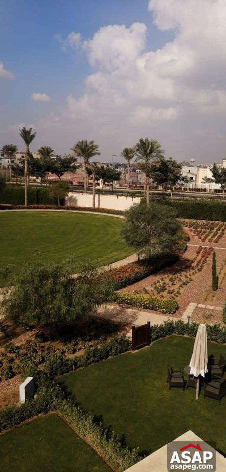 Furnished Apartment in Uptown Cairo Furnished Apartment in Uptown Cairo