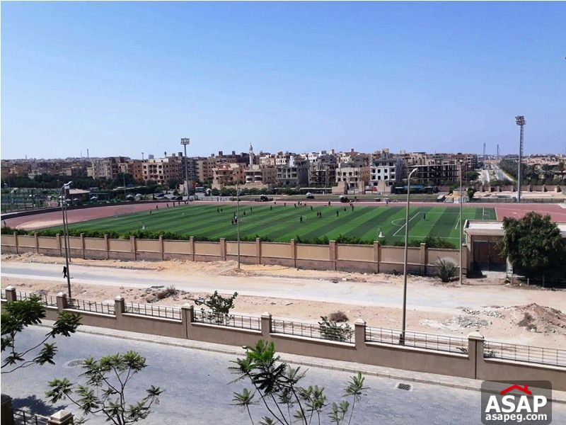 Studio for Rent in the Village Palm Hills Studio for Rent in the Village Palm Hills