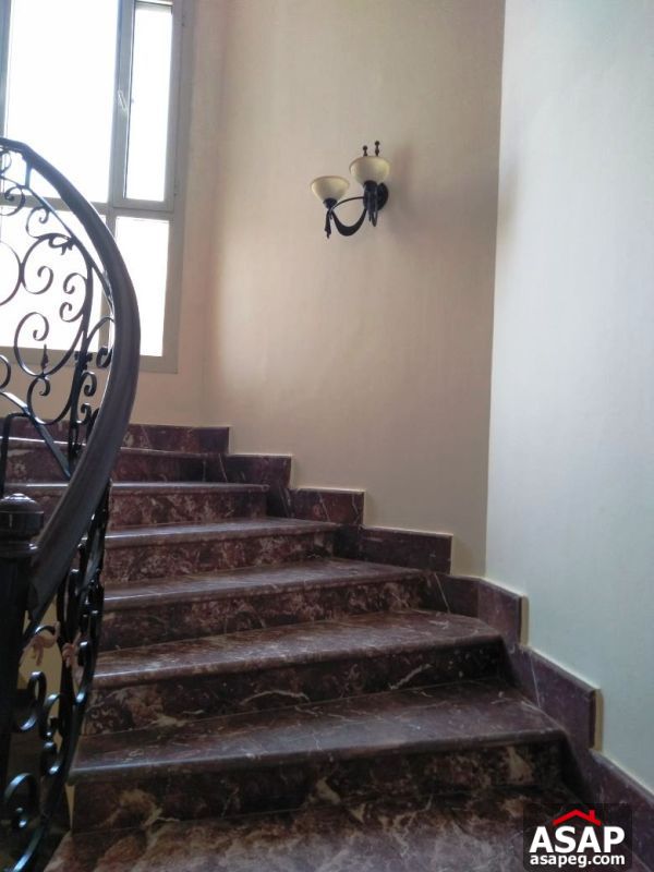 Villa with Pool for Rent in Deplomatic - New Cairo