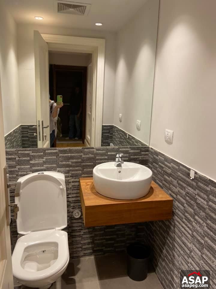 Apartment for Rent in Zamalek Apartment for Rent in Zamalek