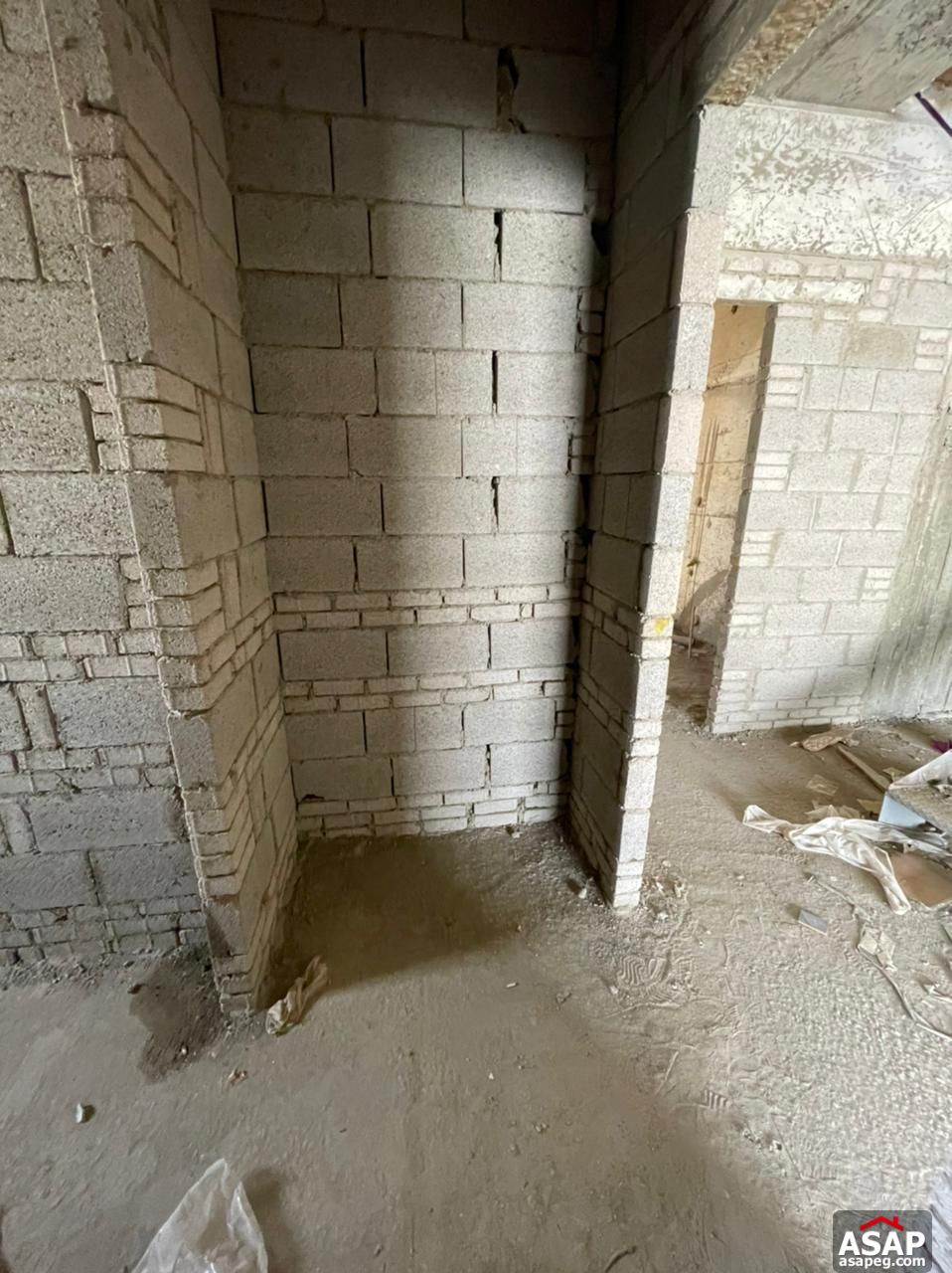 Penthouse with Pool for Sale in Lake View Residence