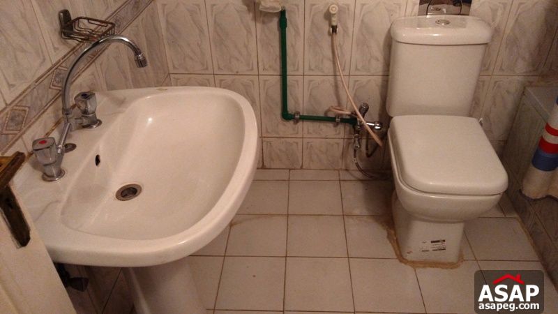 Apartment for rent in zamalek