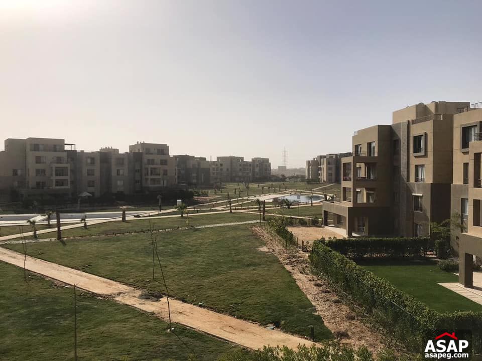 Duplex for Rent in Palm Parks - Sheikh Zayed