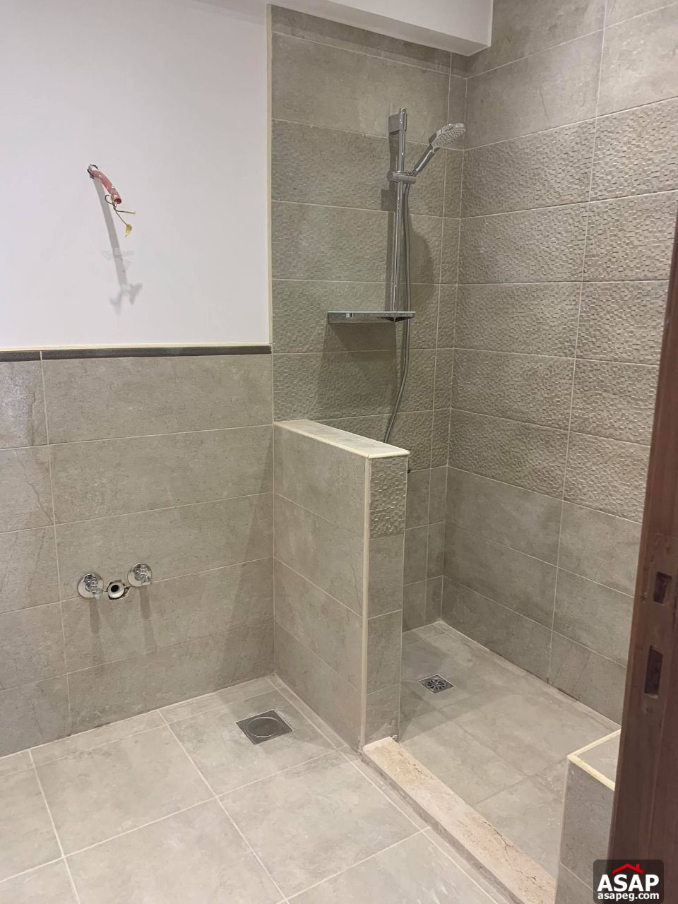 Duplex with Garden for Rent in Eastown Duplex with Garden for Rent in Eastown