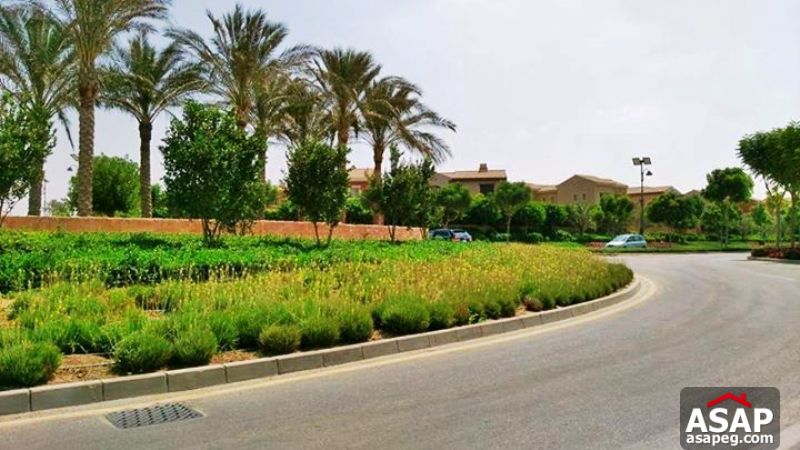 Villa with Big Garden for Rent in Mivida Villa with Big Garden for Rent in Mivida