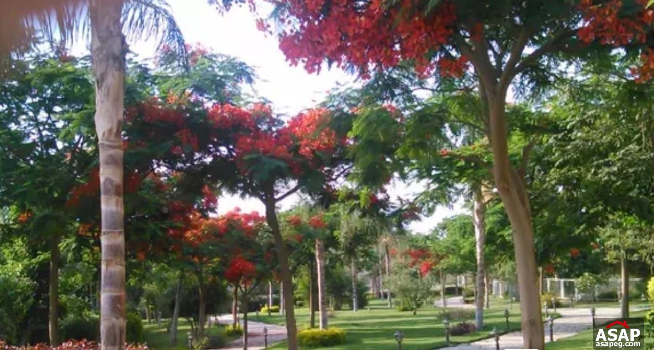 Villa for Sale in Flower Park Compound Villa for Sale in Flower Park Compound