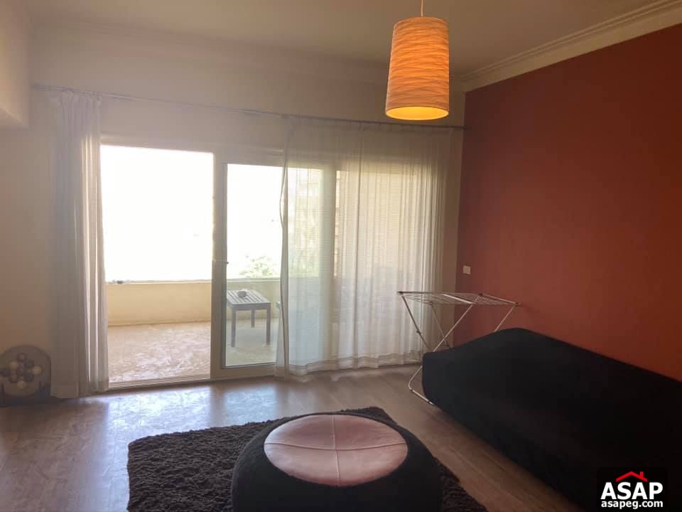 Furnished Flat with Nile View in Zamalek