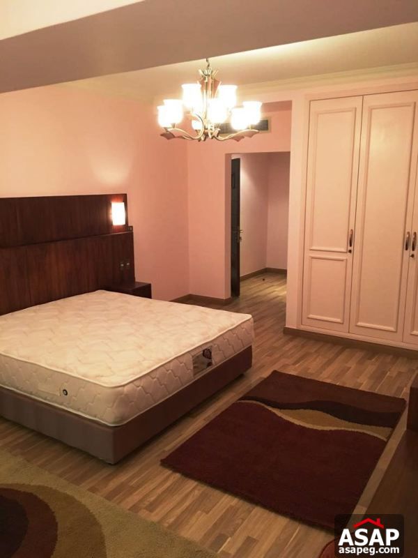 Furnished Apartment with Nile View in Dokki