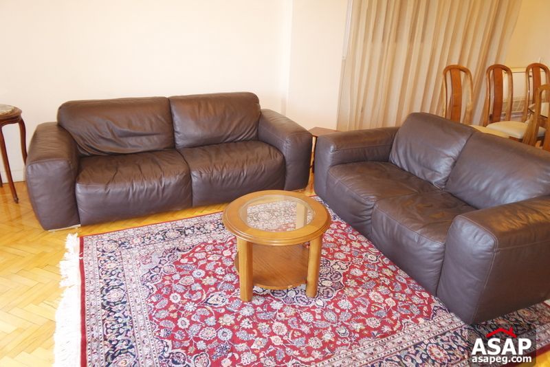 Apartment for Rent in Zamalek Apartment for Rent in Zamalek