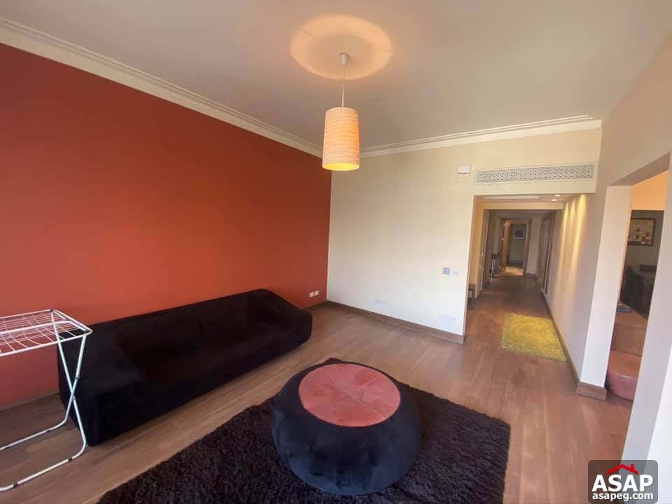 Furnished Flat with Nile View in Zamalek