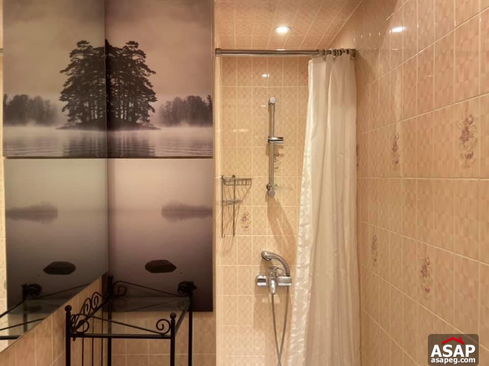 Apartment for Rent in Zamalek Apartment for Rent in Zamalek